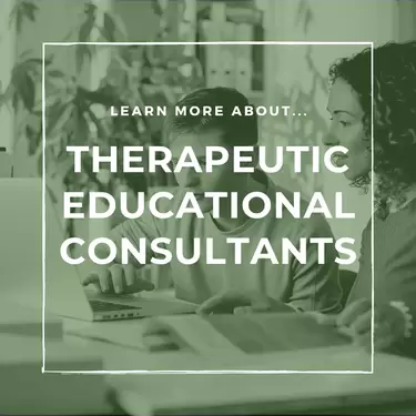 Therapeutic Educational Consultants
